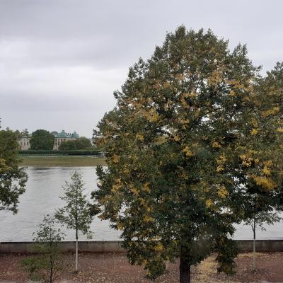 Blick auf das andere Elbufer - die Neustadt